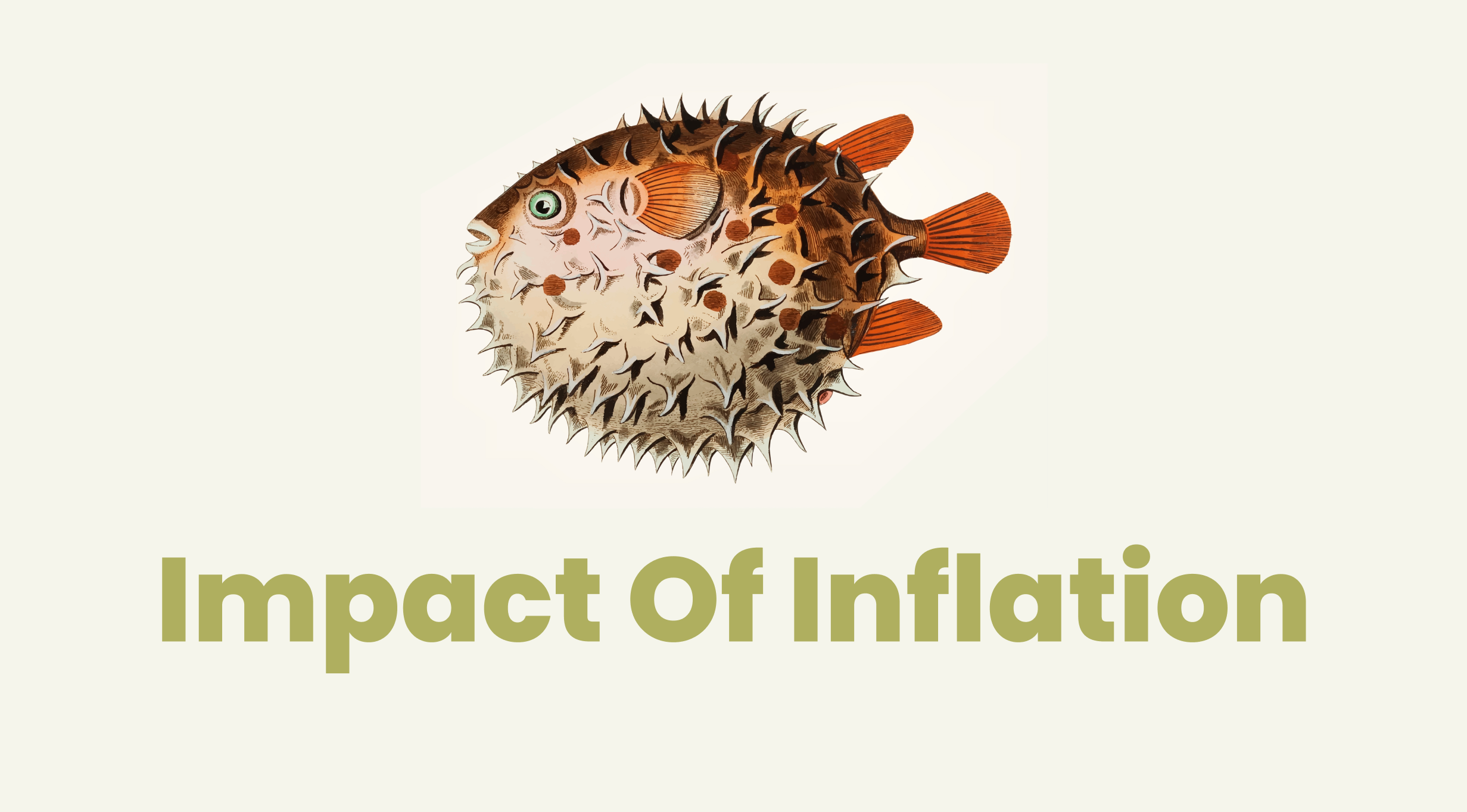 You are currently viewing Impact Of Inflation