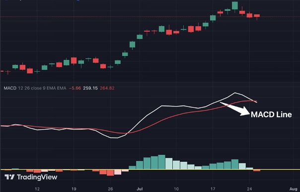 Demystifying the MACD: Your Trading Sidekick! 4