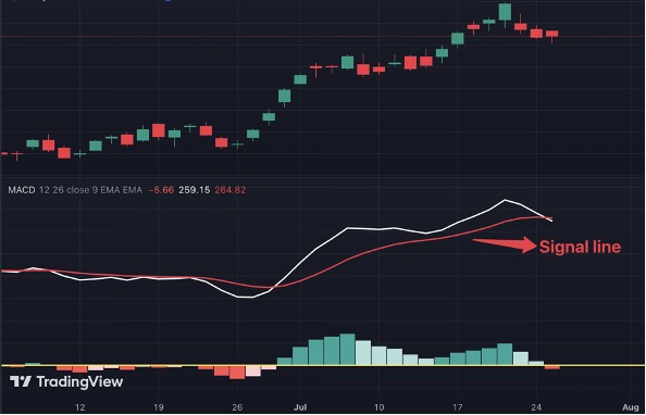 Demystifying the MACD: Your Trading Sidekick! 6