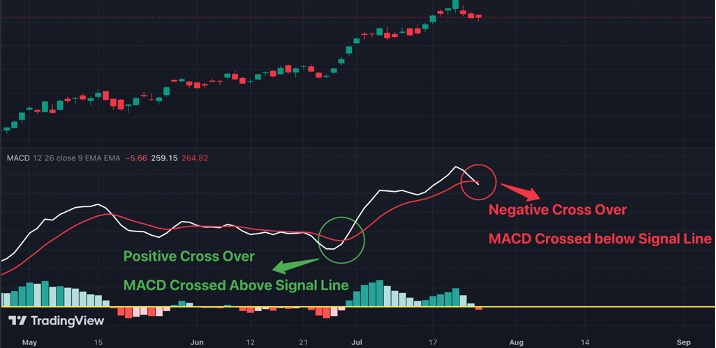 Demystifying the MACD: Your Trading Sidekick! 10