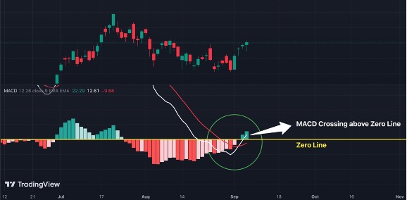 Demystifying the MACD: Your Trading Sidekick! 14