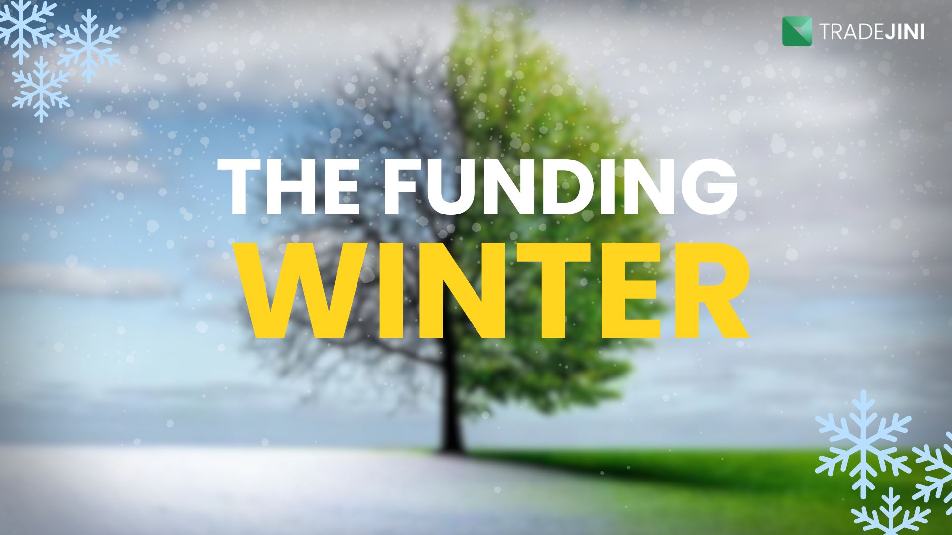 Read more about the article India’s startup growth hit by funding winter